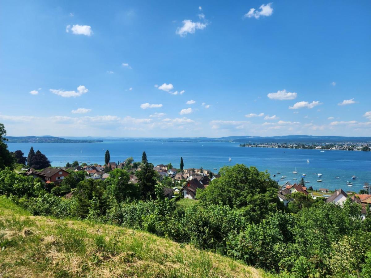 Ferienwohnung In Singen Am Hohentwiel - Seenah Exterior foto